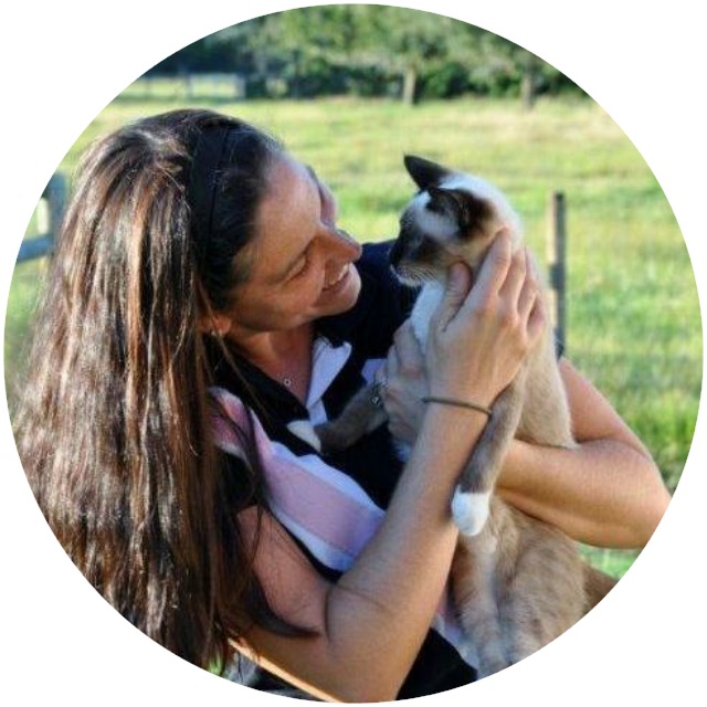 Cat Pet Sitter